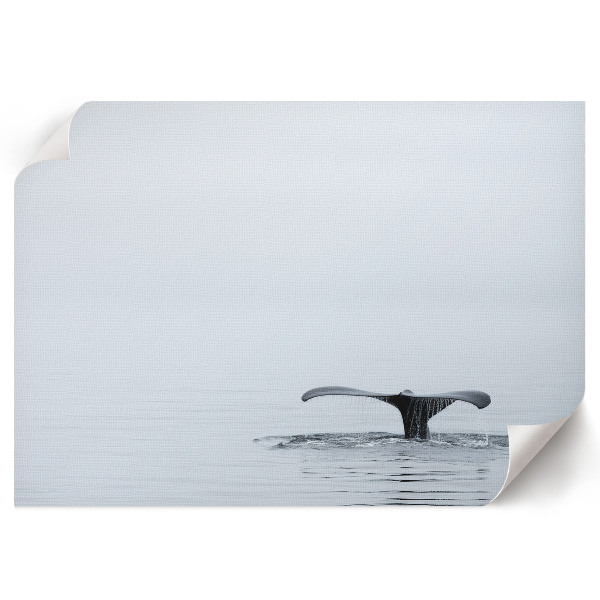 Premium wall art Oceanic tranquility