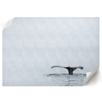 Premium wall art titled 