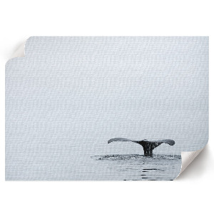 Premium wall art Oceanic tranquility