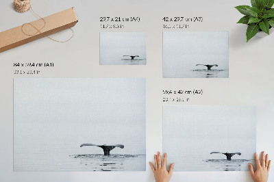Premium wall art titled 