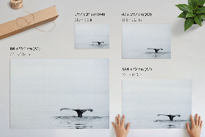 Premium wall art Oceanic tranquility