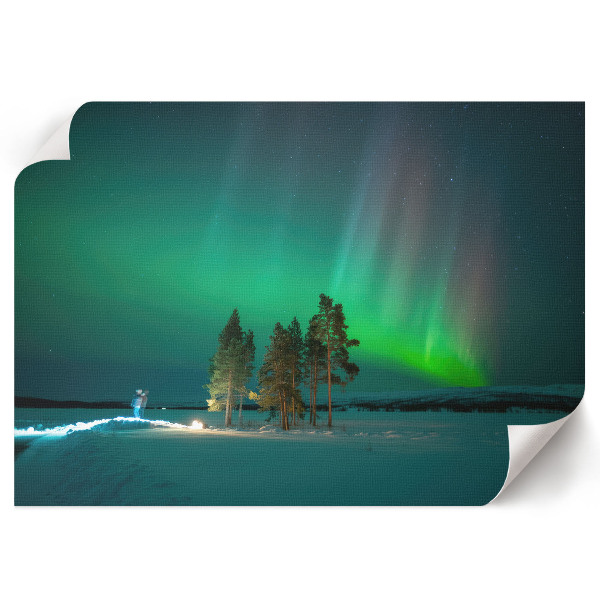 Canvas poster Magical aurora