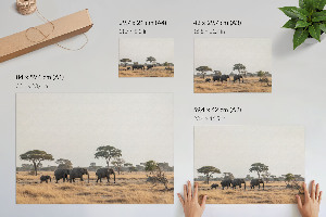 Modern wall art poster featuring the African savannah