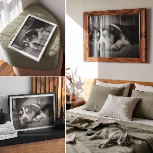 Canvas poster featuring a sleeping dog