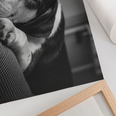 Canvas poster featuring a sleeping dog