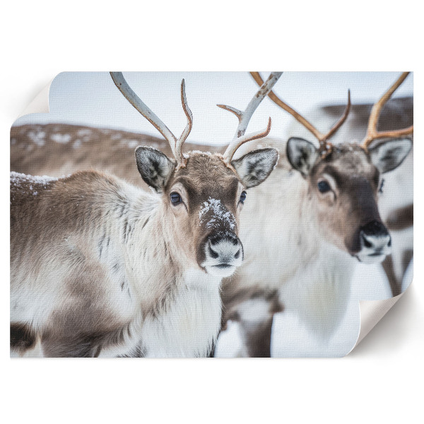 Wall poster featuring a reindeer in a winter scene