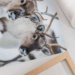Wall poster featuring a reindeer in a winter scene