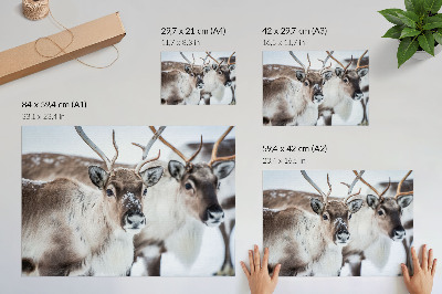 Wall poster featuring a reindeer in a winter scene