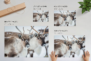 Wall poster featuring a reindeer in a winter scene
