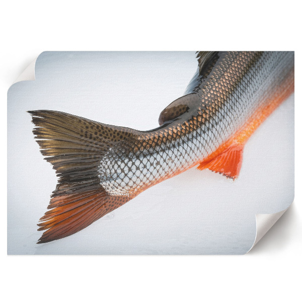 Modern wall art poster with a fish tail motif