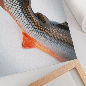 Modern wall art poster with a fish tail motif