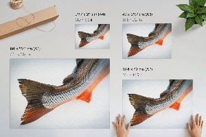 Modern wall art poster with a fish tail motif