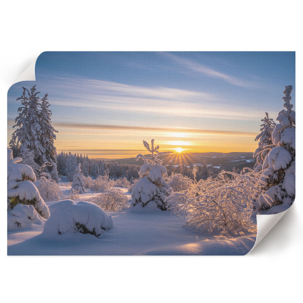 Premium wall art featuring a winter sunrise