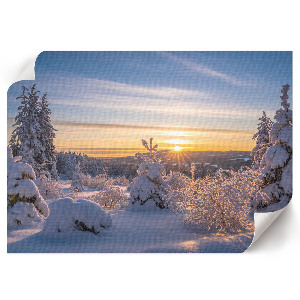 Premium wall art featuring a winter sunrise