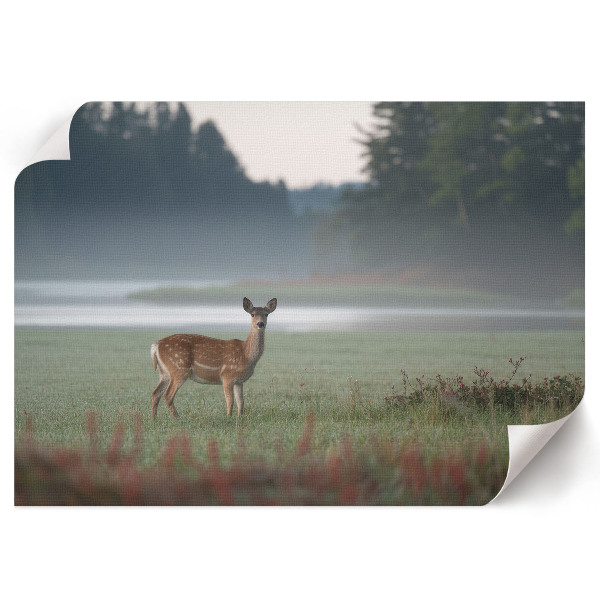 Canvas poster with forest scenery