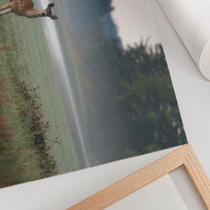 Canvas poster with forest scenery