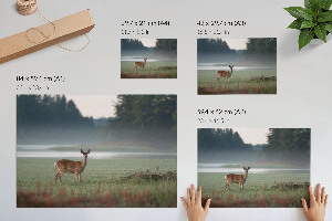 Canvas poster with forest scenery