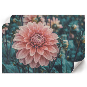 Premium wall art featuring a pink dahlia
