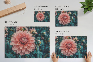Premium wall art featuring a pink dahlia
