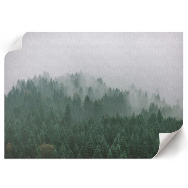 Wall poster featuring a foggy forest scene