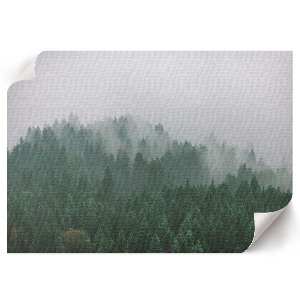 Wall poster featuring a foggy forest scene
