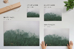 Wall poster featuring a foggy forest scene