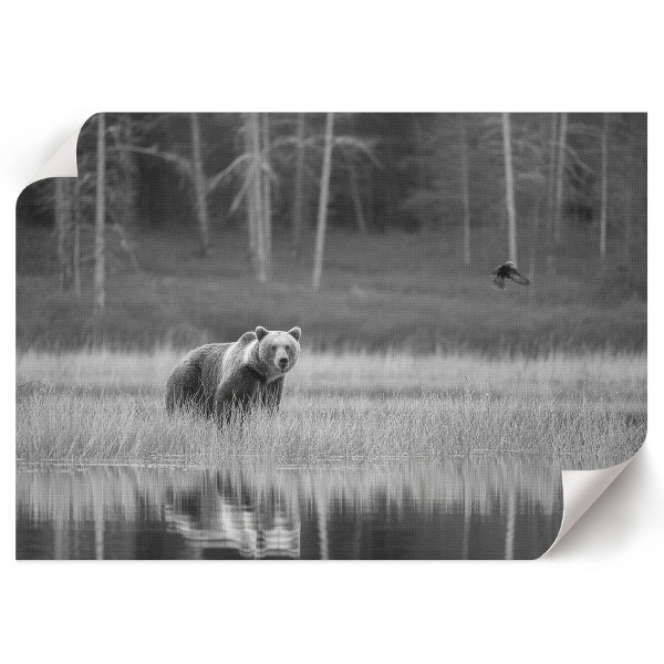 Modern wall art poster with a forest scene
