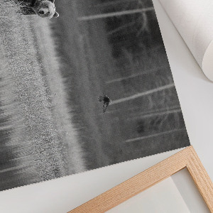 Modern wall art poster with a forest scene