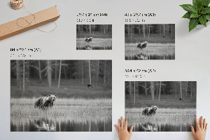 Modern wall art poster with a forest scene