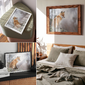 Canvas poster featuring a red fox