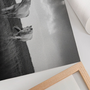 Modern wall art poster featuring white horses