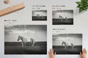 Modern wall art poster featuring white horses
