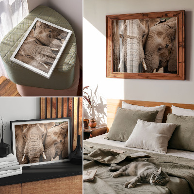 Canvas poster with a print of elephants together