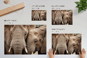 Canvas poster with a print of elephants together