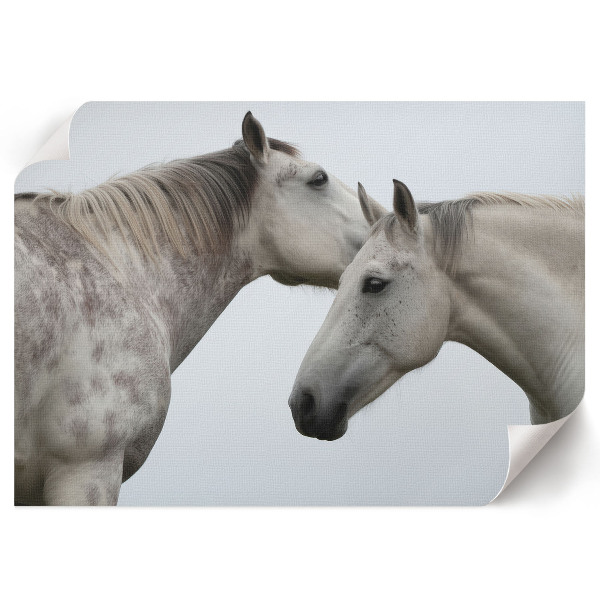 Modern wall art poster titled "Horse Elegance"