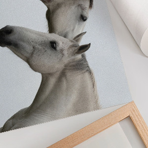 Modern wall art poster Horse elegance