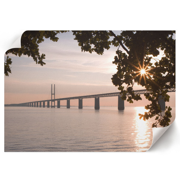 Premium wall art featuring a nature bridge