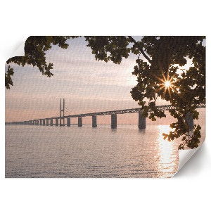 Premium wall art featuring a nature bridge