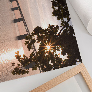 Premium wall art featuring a nature bridge