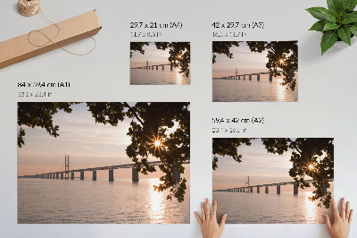 Premium wall art featuring a nature bridge
