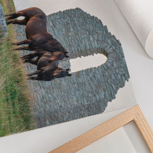 Premium wall art Horses and nature