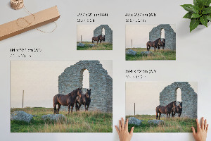 Premium wall art Horses and nature