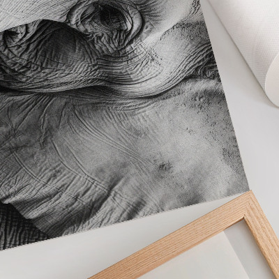 Canvas poster featuring a detailed elephant illustration