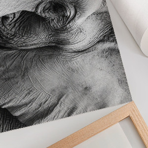 Canvas poster featuring a detailed elephant illustration