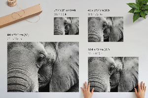 Canvas poster featuring a detailed elephant illustration