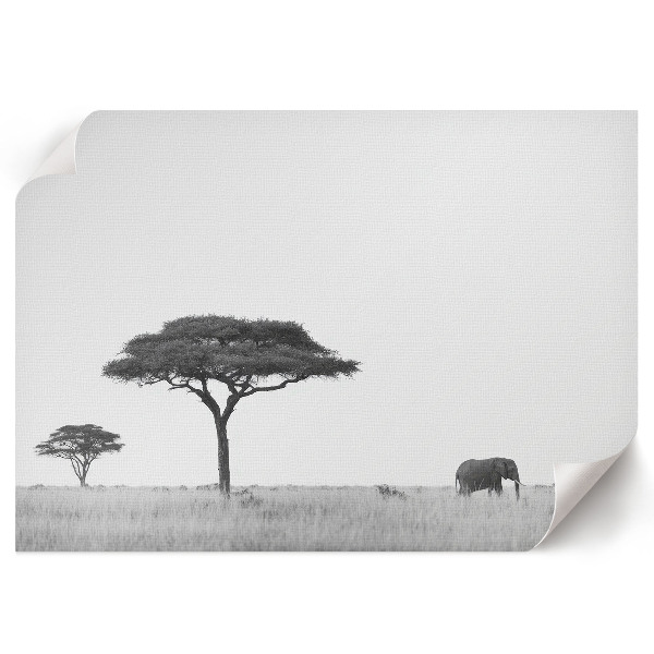 Wall poster featuring the African savannah