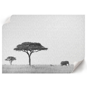 Wall poster featuring the African savannah