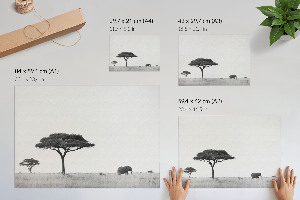 Wall poster featuring the African savannah
