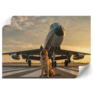 Modern wall art poster The Dog and the Plane