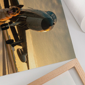 Modern wall art poster The Dog and the Plane